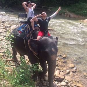 Meet your Posher, Thomas